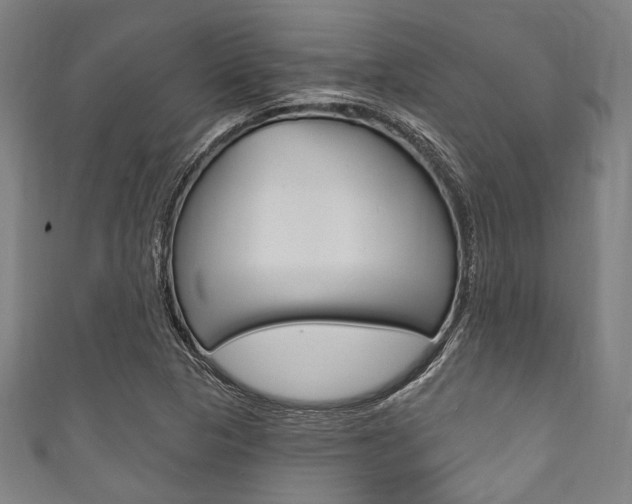 X0000111831313200907231014