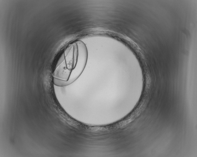 X0000111831314200907231014