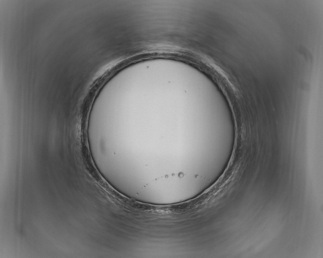 X0000111831315200907231014
