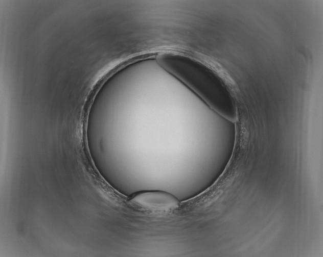 X0000111831316200907231014
