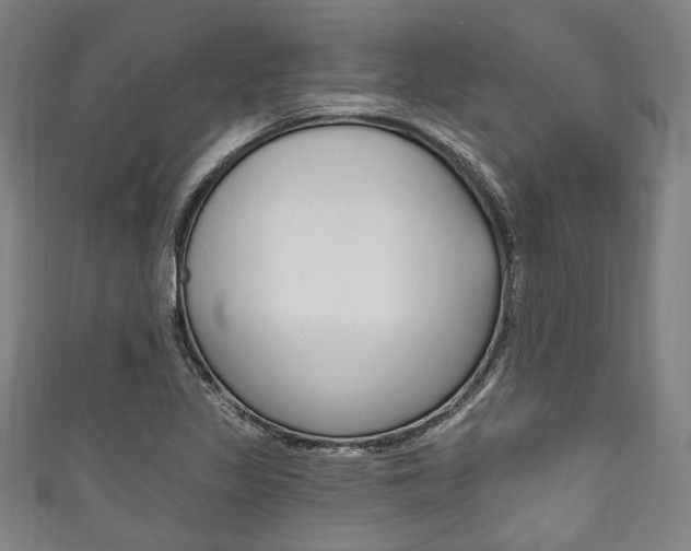 X0000111831317200907231014