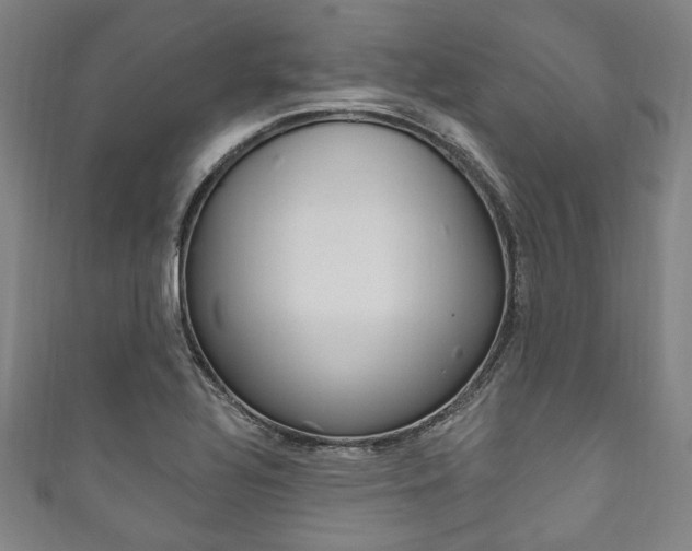 X0000111831320200907231014