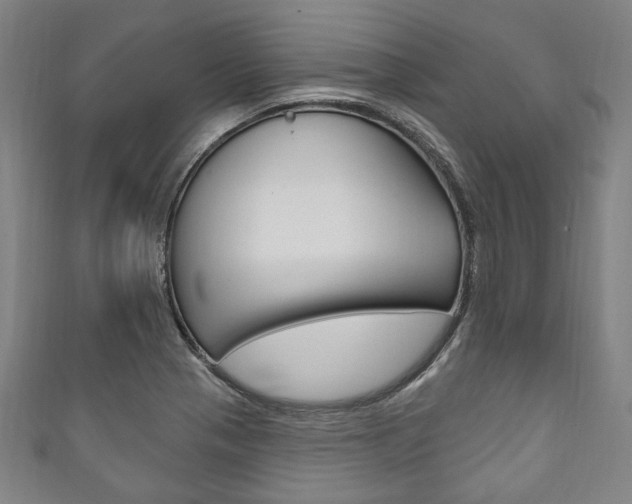 X0000111831321200907231014