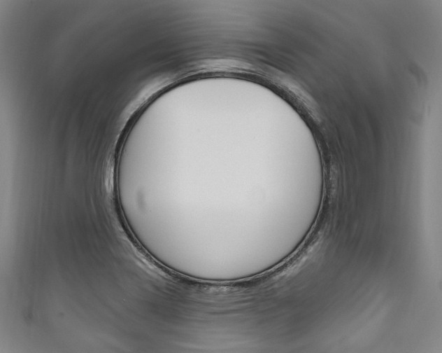 X0000111831322200907231014
