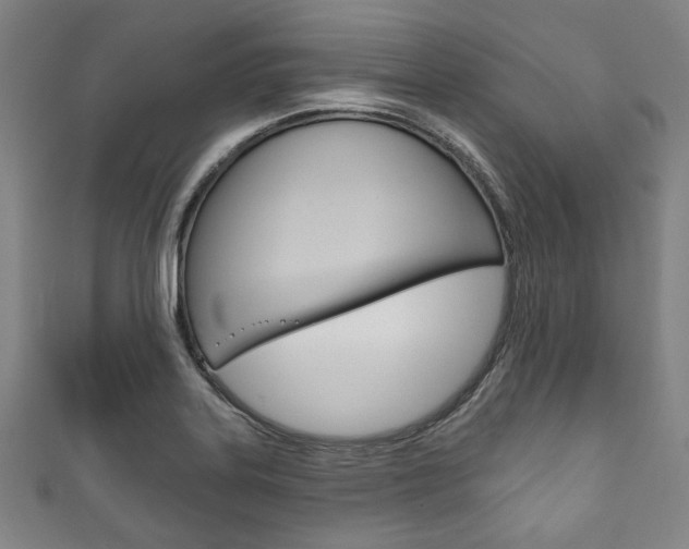 X0000111831323200907231014
