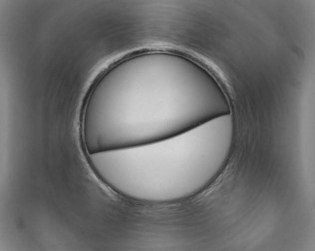 X0000111831327200907231014