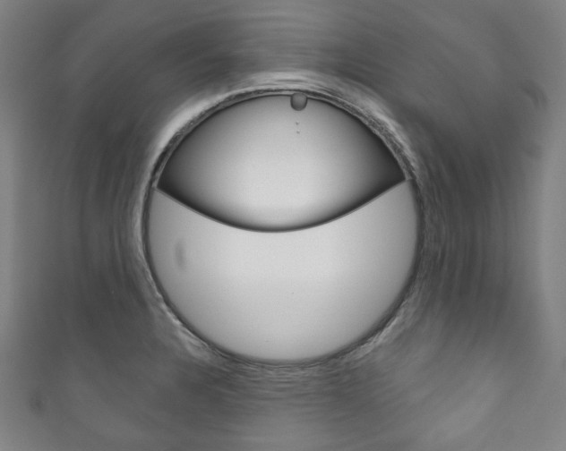 X0000111831328200907231014