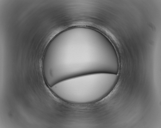 X0000111831329200907231014