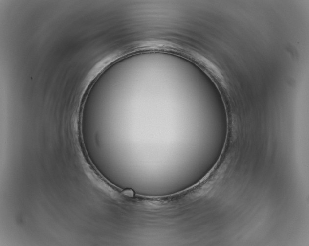 X0000111831330200907231014