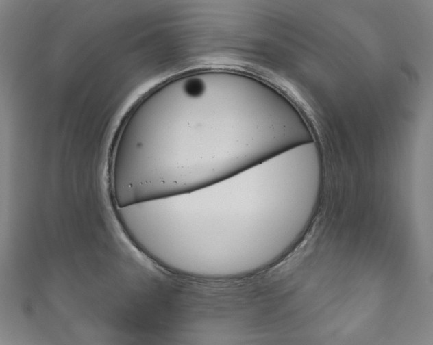 X0000111831331200907231014