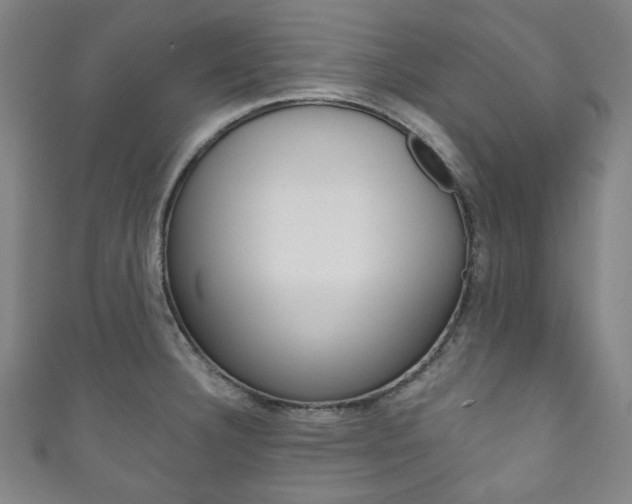 X0000111831332200907231014