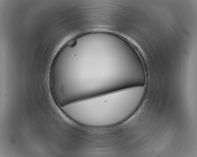 X0000111831333200907231014