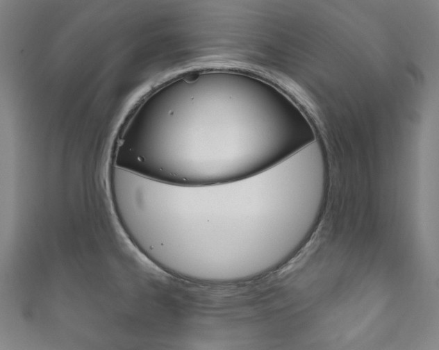 X0000111831334200907231014