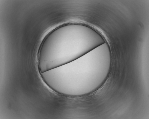 X0000111831335200907231014