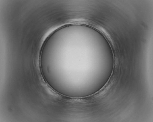 X0000111831336200907231014