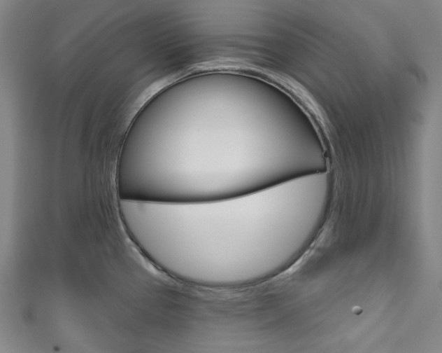 X0000111831337200907231014
