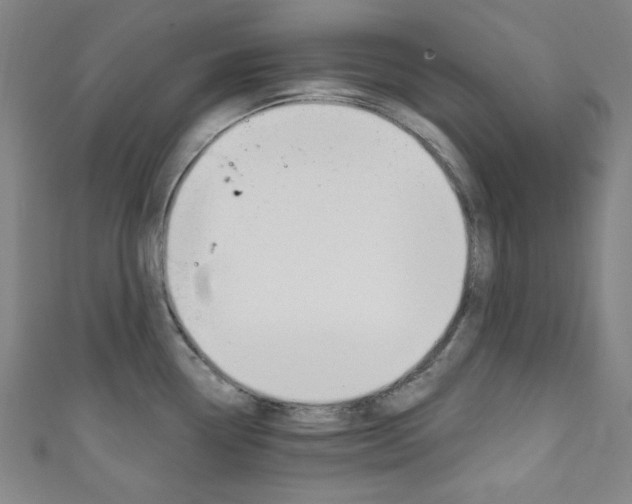 X0000111831338200907231014