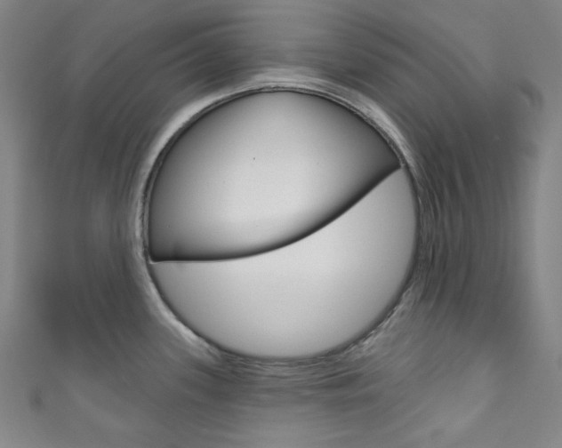 X0000111831339200907231014
