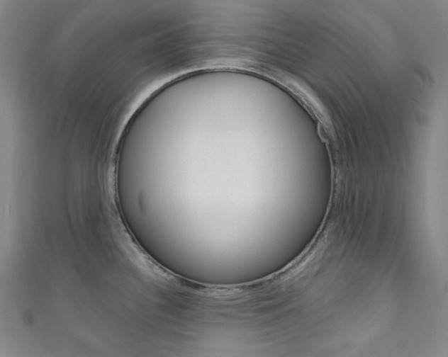 X0000111831340200907231014