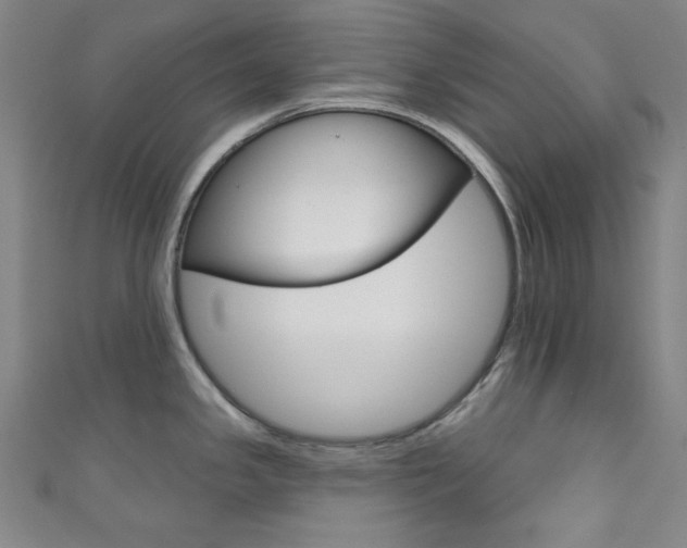 X0000111831341200907231014