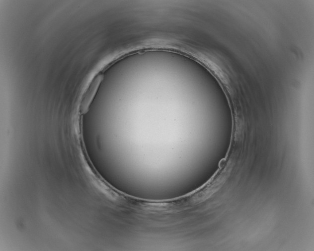 X0000111831342200907231014