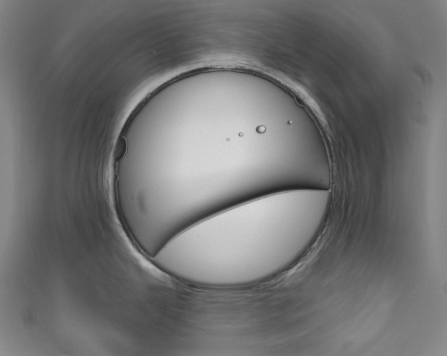 X0000111831343200907231014