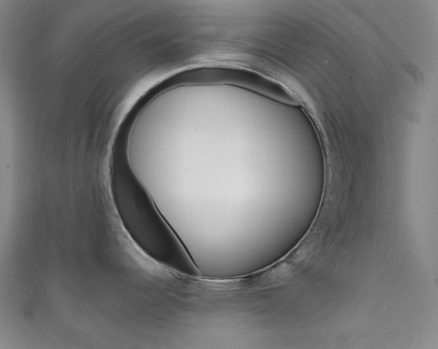 X0000111831344200907231014