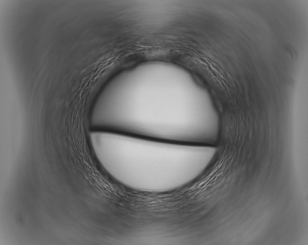 X0000111831345200907231014
