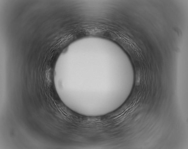 X0000111831346200907231014