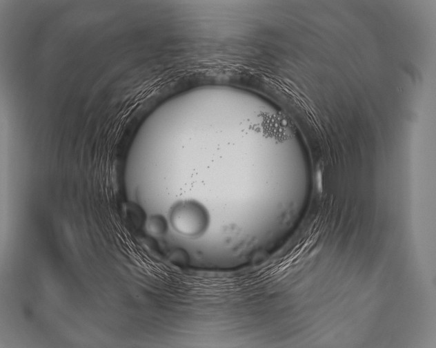 X0000111831347200907231014