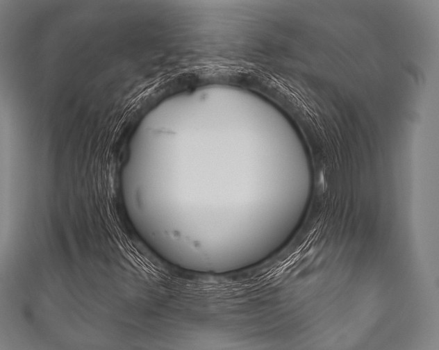 X0000111831348200907231014
