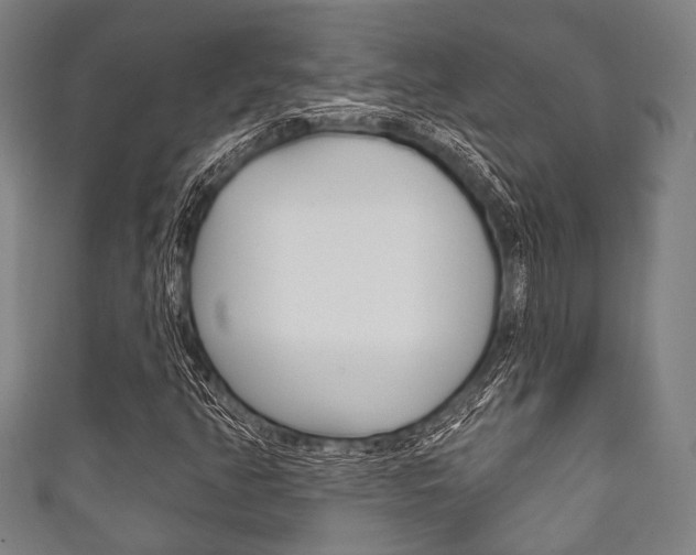 X0000111831350200907231014