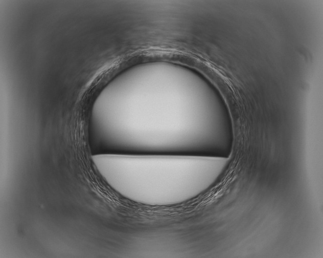 X0000111831351200907231014