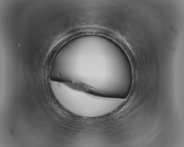 X0000111831352200907231014