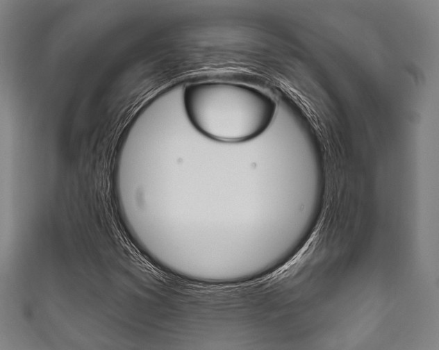 X0000111831353200907231014
