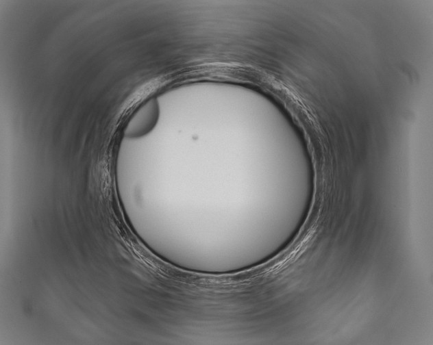 X0000111831354200907231014