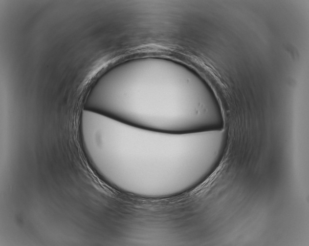 X0000111831355200907231014