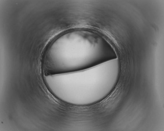 X0000111831356200907231014