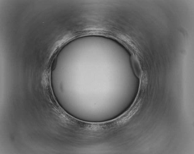X0000111831357200907231014
