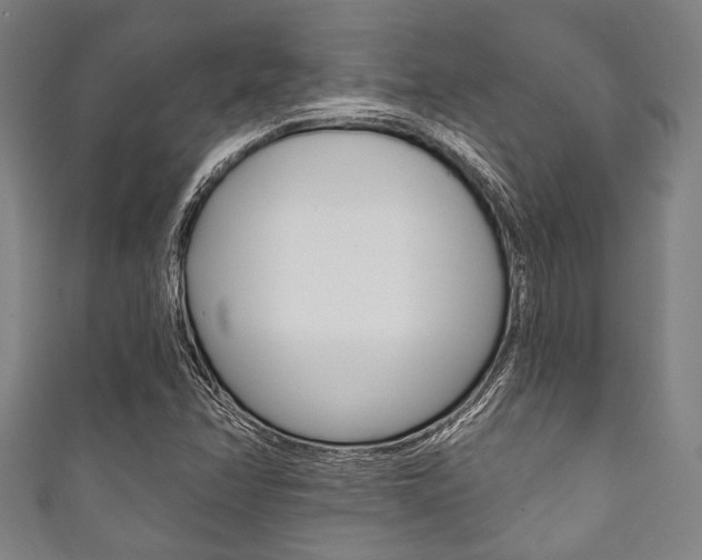 X0000111831358200907231014