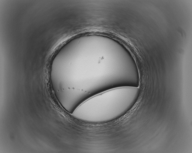 X0000111831359200907231014