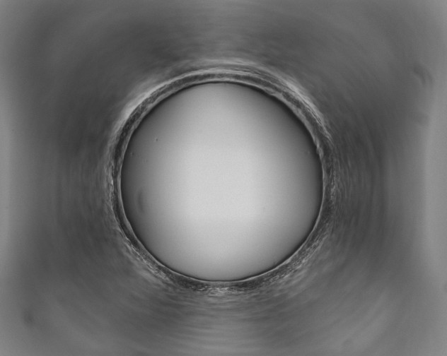 X0000111831360200907231014