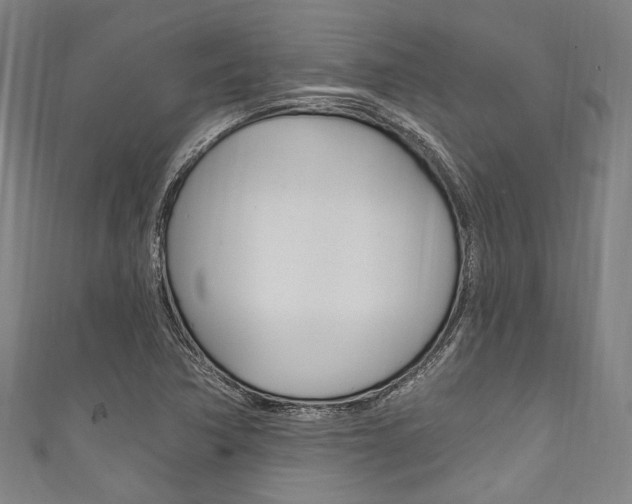 X0000111831362200907231013