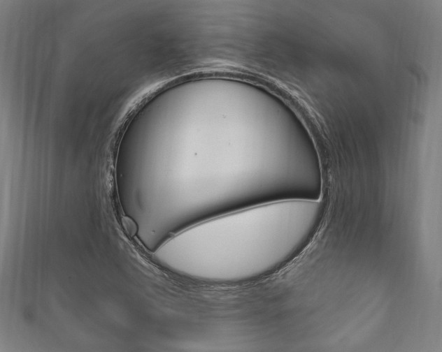 X0000111831363200907231013