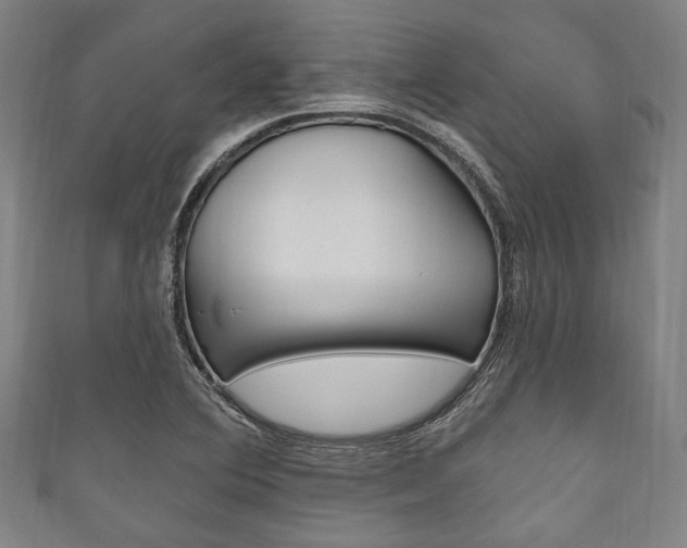 X0000111831364200907231013
