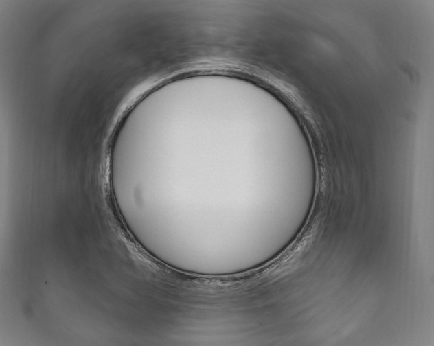 X0000111831366200907231013