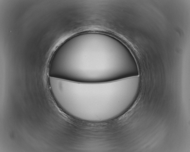X0000111831367200907231013