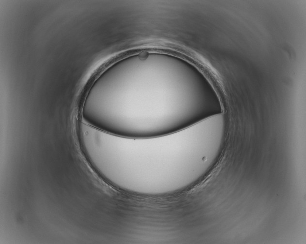 X0000111831368200907231013