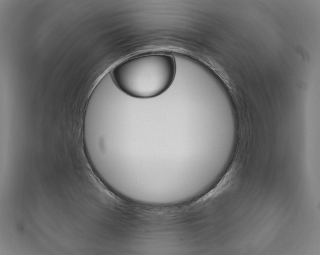 X0000111831369200907231013