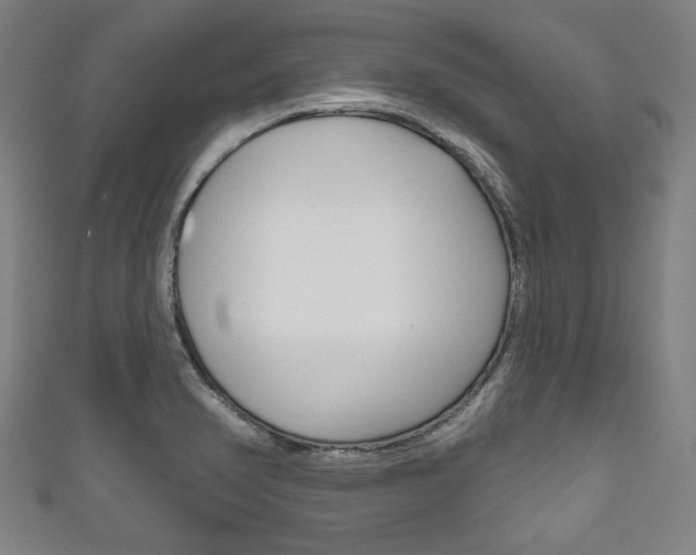 X0000111831374200907231013
